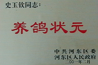 養(yǎng)鴿狀元