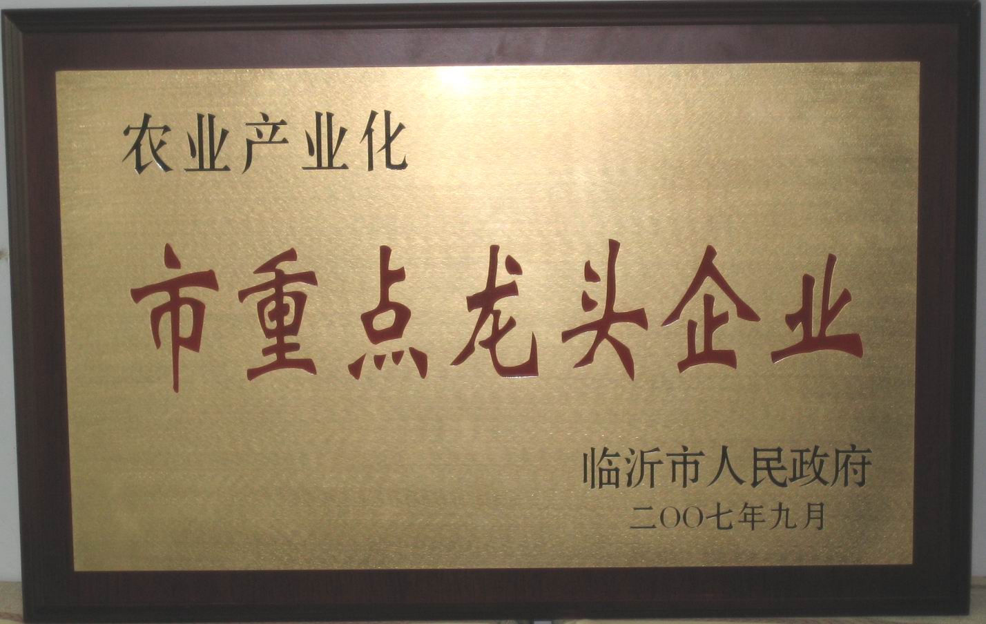 市重點(diǎn)龍頭企業(yè)